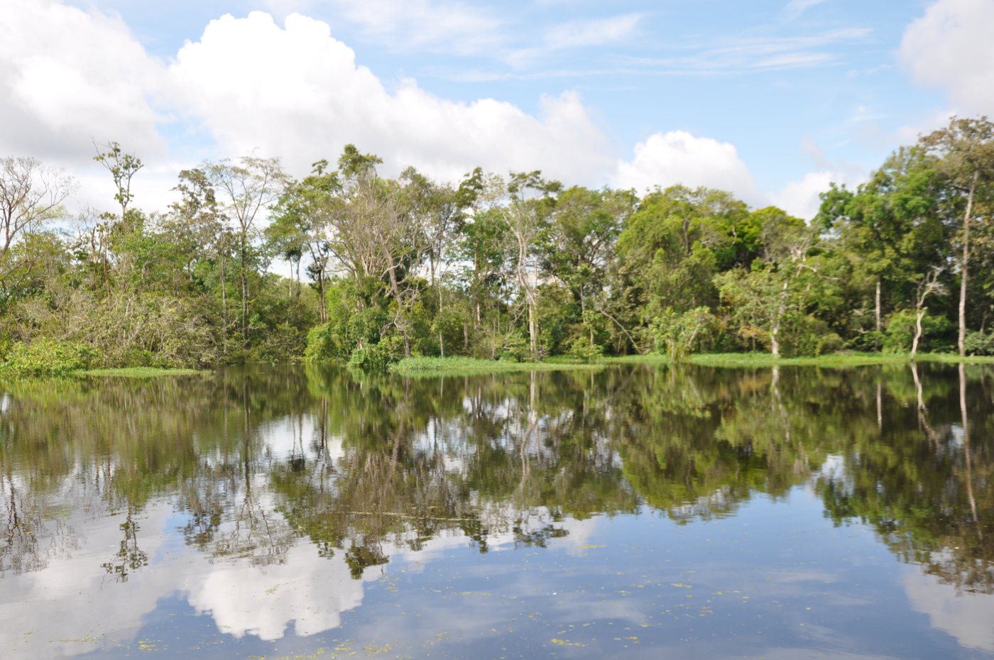 Brazylia - Manaus - Amazonka